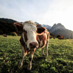 2025187期震撼揭晓:最新3D开奖结果全面公布 132z6t