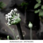 2025168期双色球开奖号码结果正式公布 2u3a2yoh4e