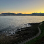 2025209期双色球开奖号码结果查询与公布 9uo7kh