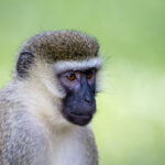 2025201期最新开奖结果查询与详细分析 b4vpkjbi