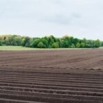 2025213期开奖结果最新公布,速来查看中奖详情 c5532hvg