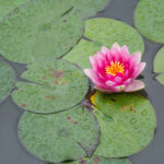 2025206期3d开奖号码最新公布结果查询 es18ner8