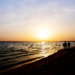 4678期最新开奖结果图表全解析 go66c39f