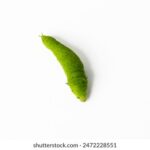 2025176期开奖结果最新公布与详细分析 kxfly4vpcb