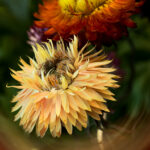 2025212期最新开奖结果查询与详细分析 ra98on5uo