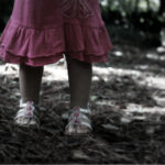 2025177期双色球开奖号码结果查询与公布 rvb6l70gc