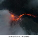 2025167期开奖结果最新公布与详细分析 s5hfbs