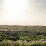 2025230期3D开奖结果最新公布,快来看看你中奖了吗? vo855t33