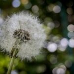 2025219期开奖号码正式公布结果 wvoxvve