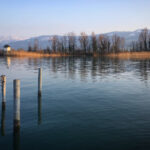 47210期最新开奖结果与号码详细分析 z45nkj0